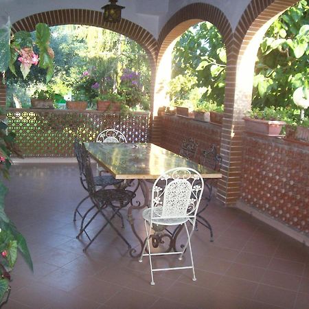 La Casa Dell'Antiquario Guest House Graniti Exterior photo