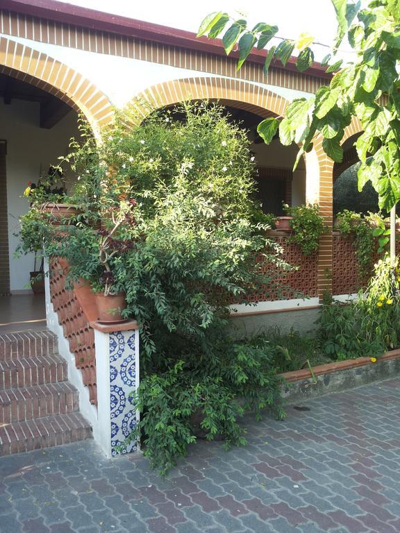 La Casa Dell'Antiquario Guest House Graniti Exterior photo