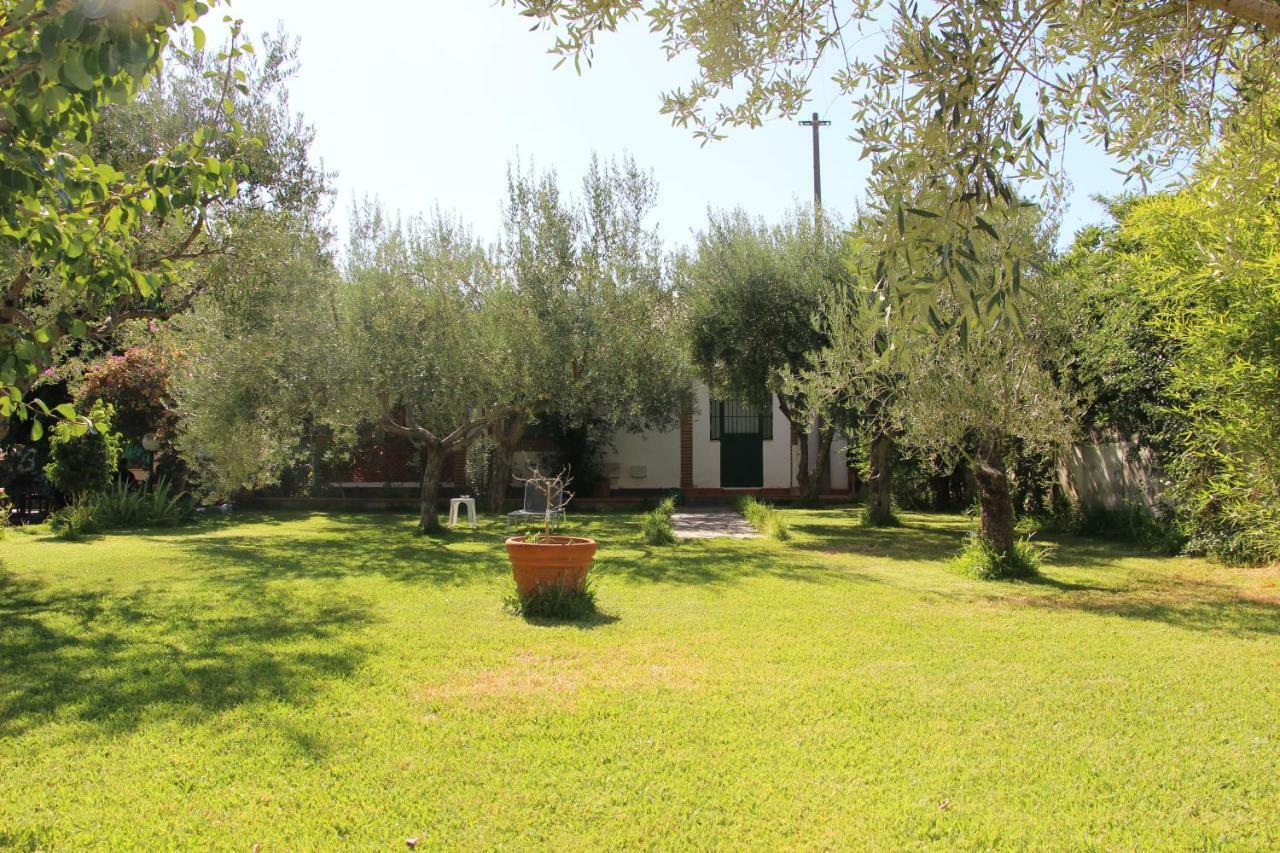 La Casa Dell'Antiquario Guest House Graniti Exterior photo